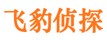 石城私人侦探